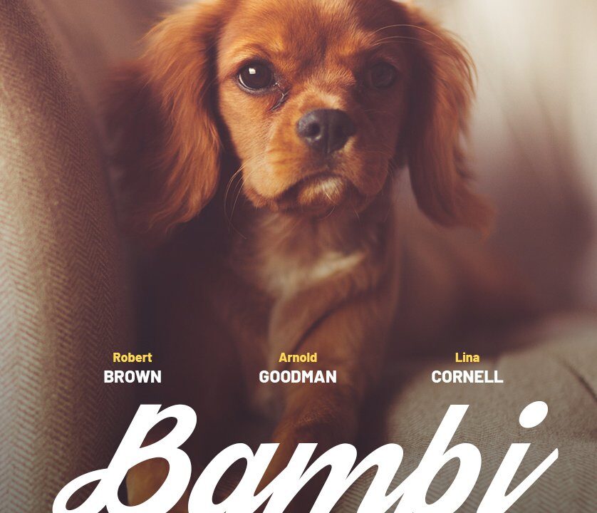 Bambi