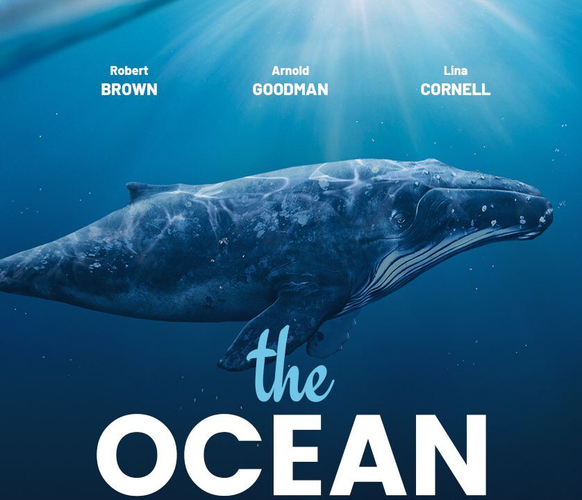 The Ocean